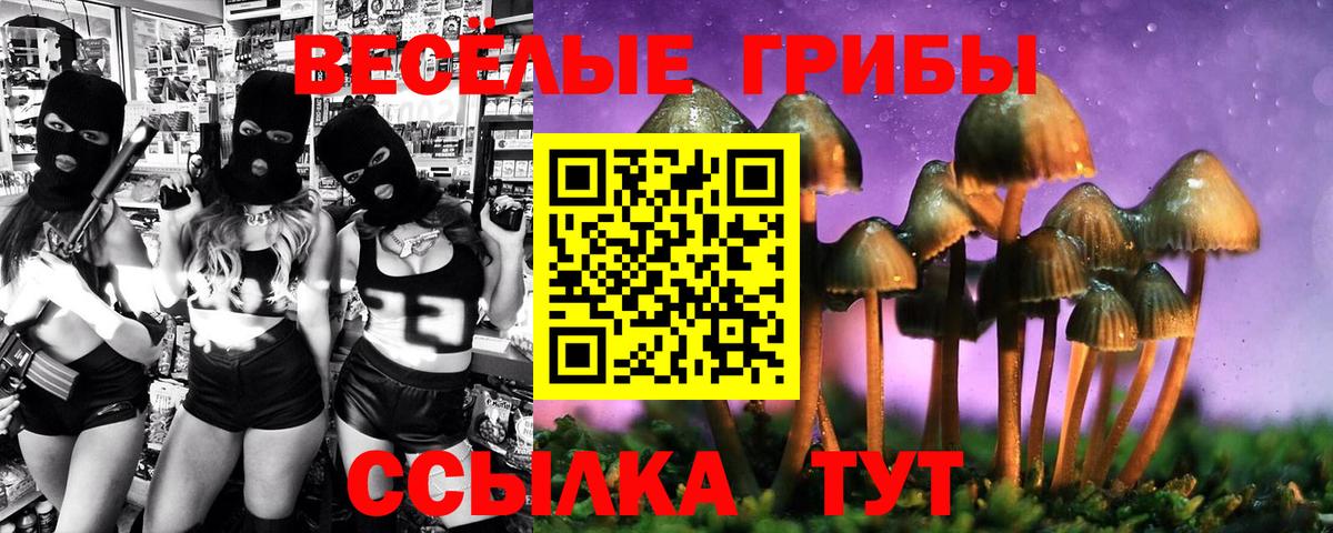 Галлюциногенные грибы MAGIC MUSHROOMS  Вход с VPN  даркнет сайт  Балтийск 